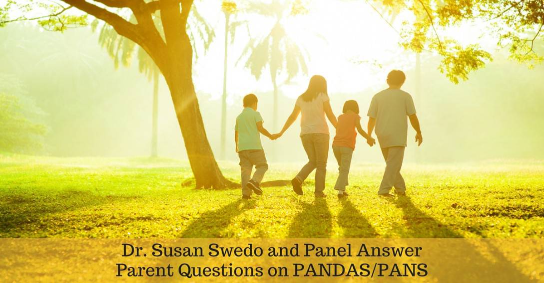 Susan Swedo and Panel Q A Word Press